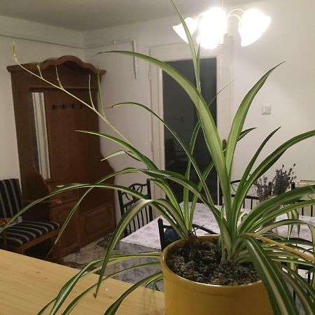 Levendula Apartmanház Apartamento Sümeg Exterior foto